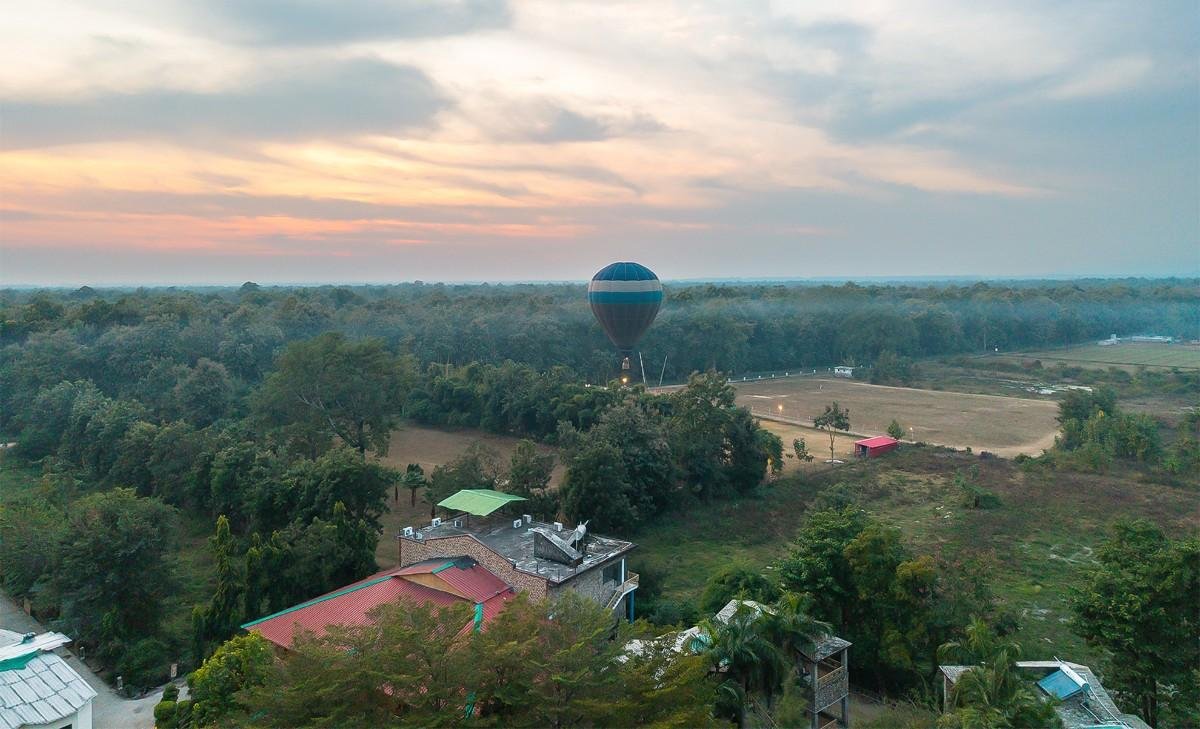 banner Image - Roar Resort