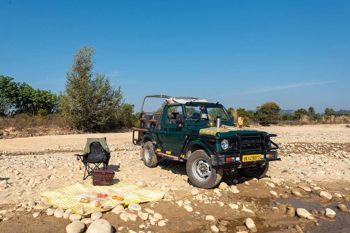 Roar-resort- Jungle Picnic & Excursions