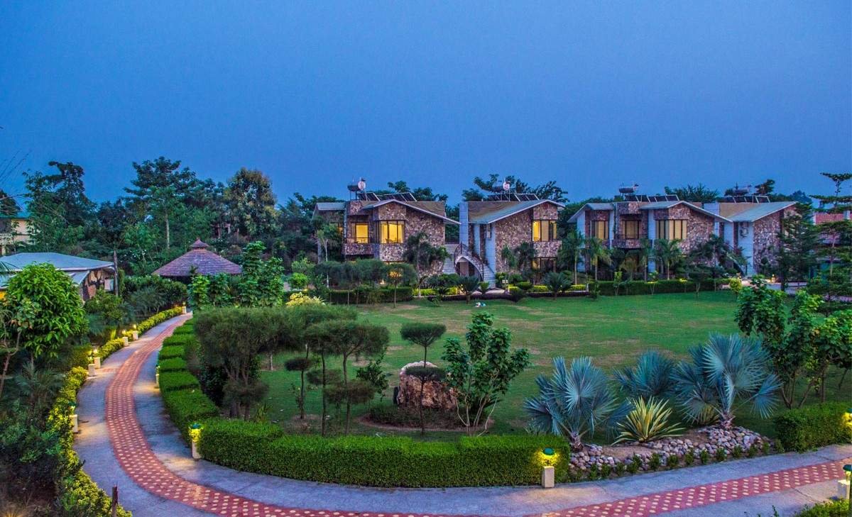 banner Image - Roar Resort