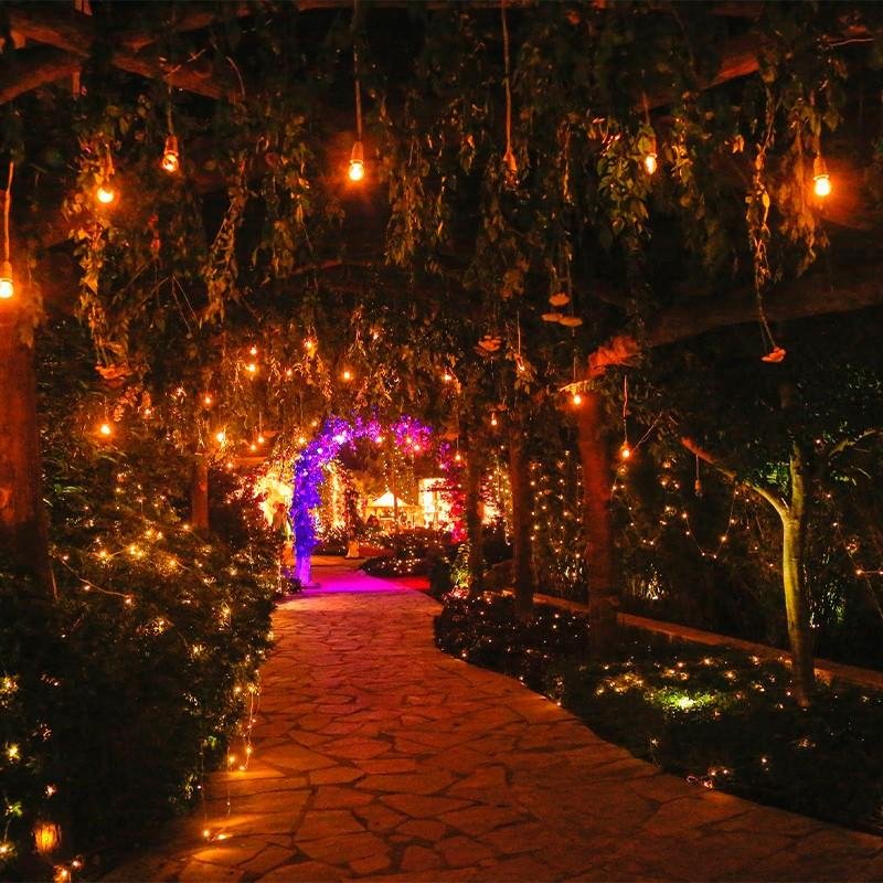 Luxury stay near Jim Corbett National Park