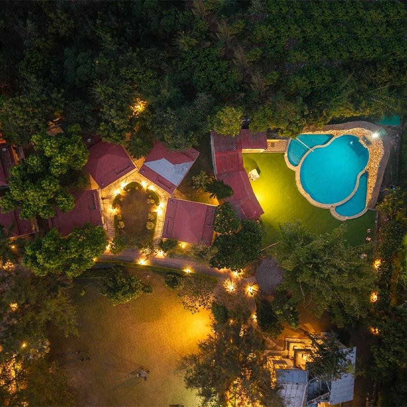 banner Image - Roar Resort