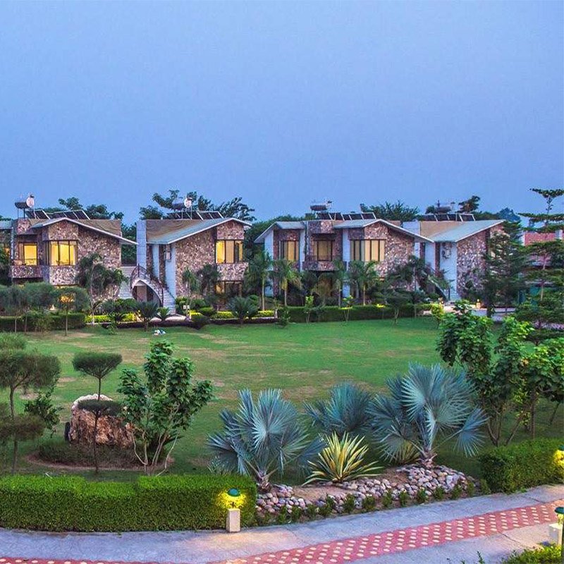 banner Image - Roar Resort