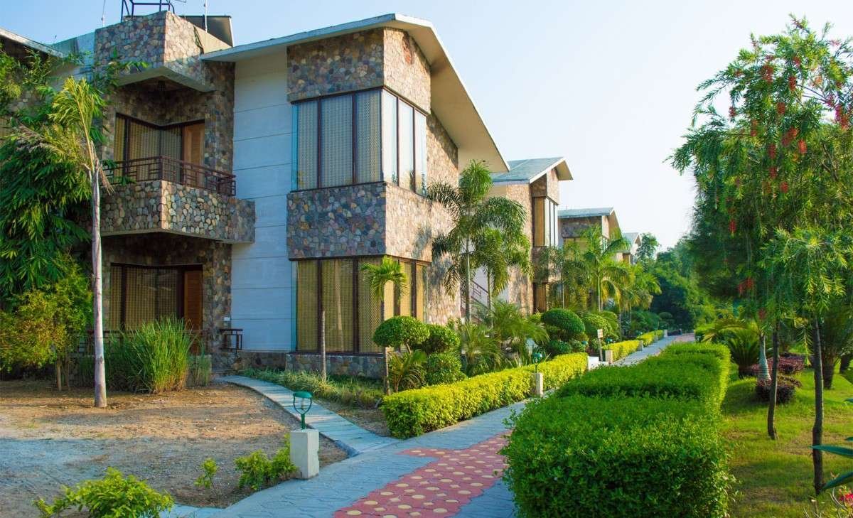 banner Image - Roar Resort