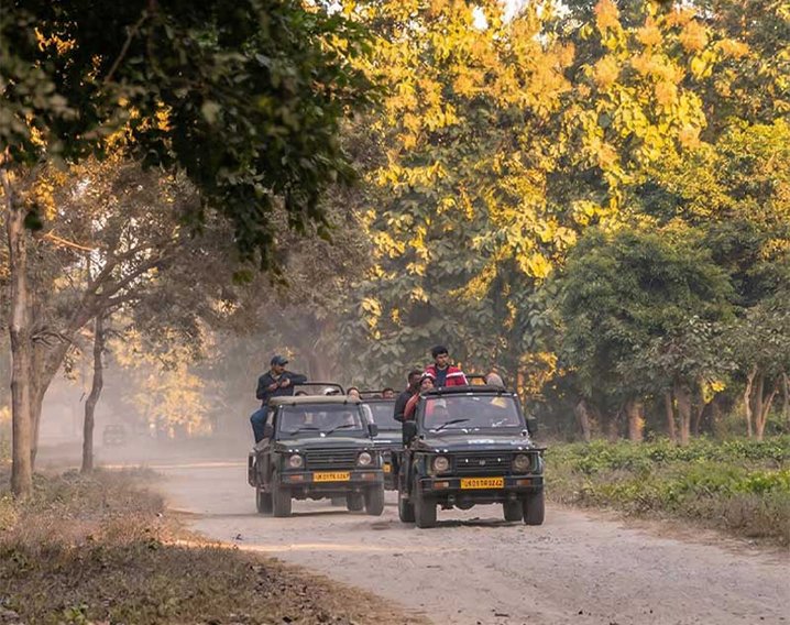 Jim Corbett Wildlife Safari Package