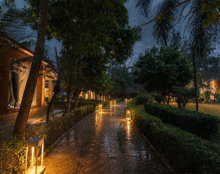 Monsoon Escape Package in Jim Corbett