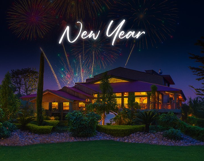 New Year Celebration