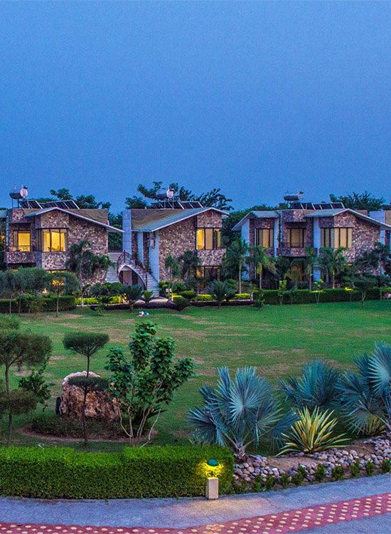 Christmas Celebration | Roar Resort