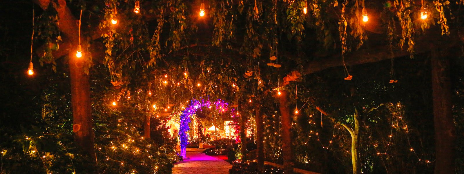 Corporate Events In Jim Corbett