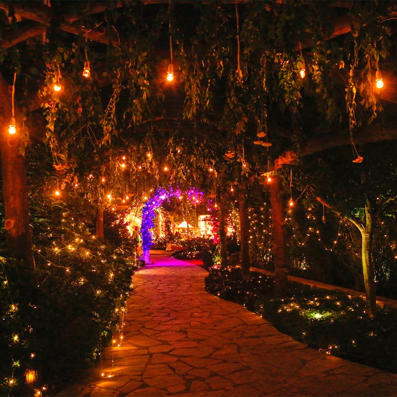 Luxury Corporate Events & Retreats in Jim Corbett