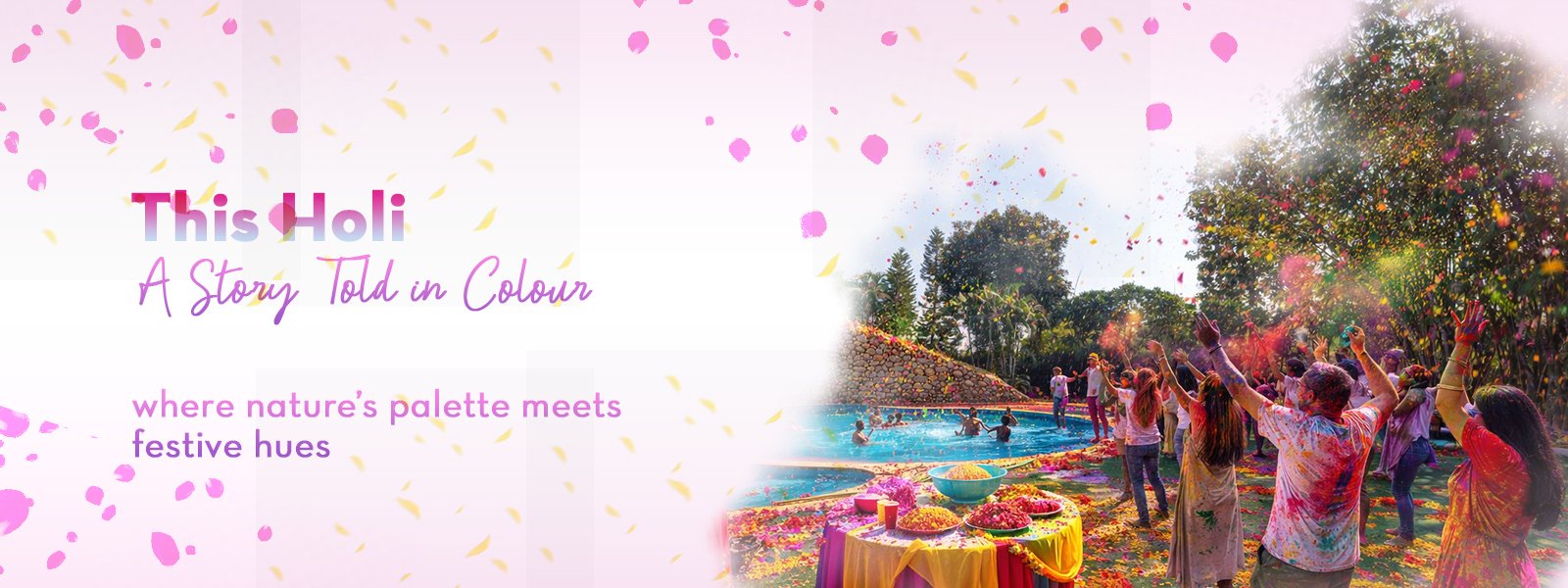 banner Image - Roar Resort