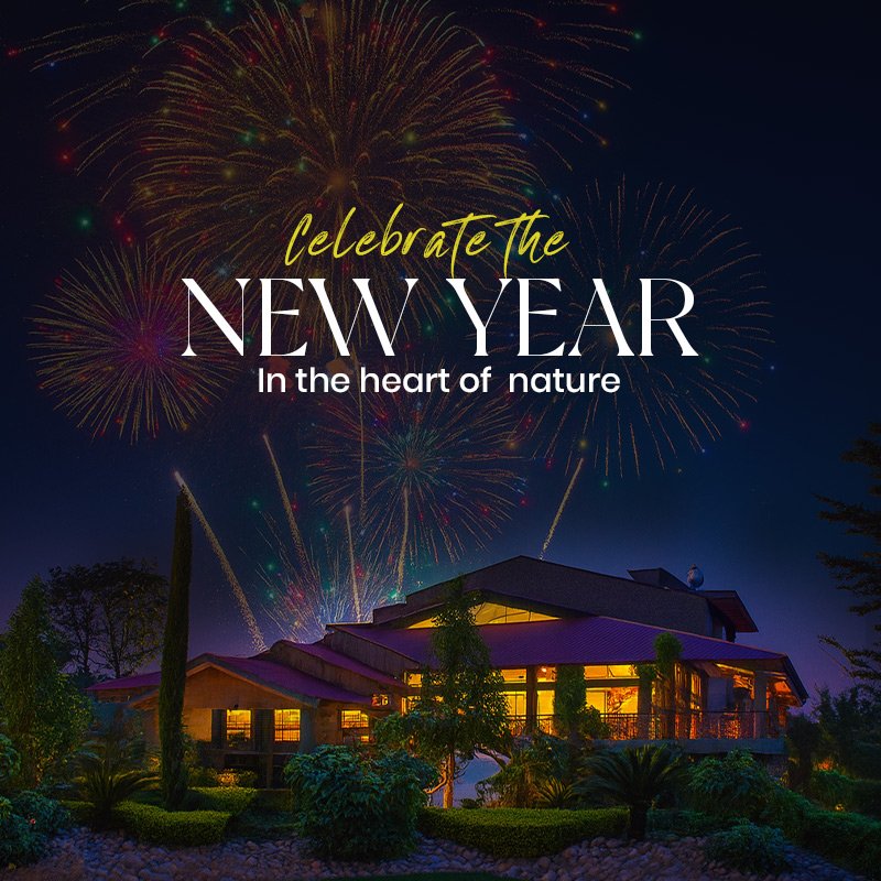 banner Image - Roar Resort