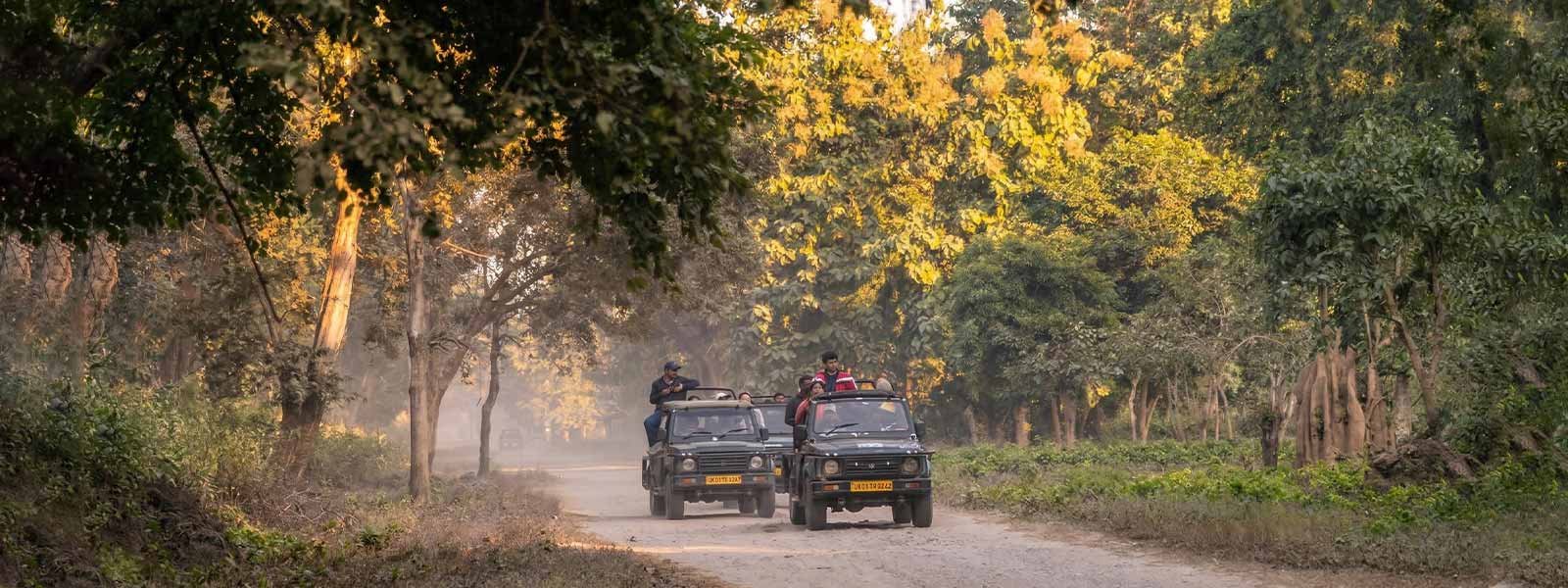 Jim Corbett Wildlife Safari Package - ROAR Resort Luxury Stay