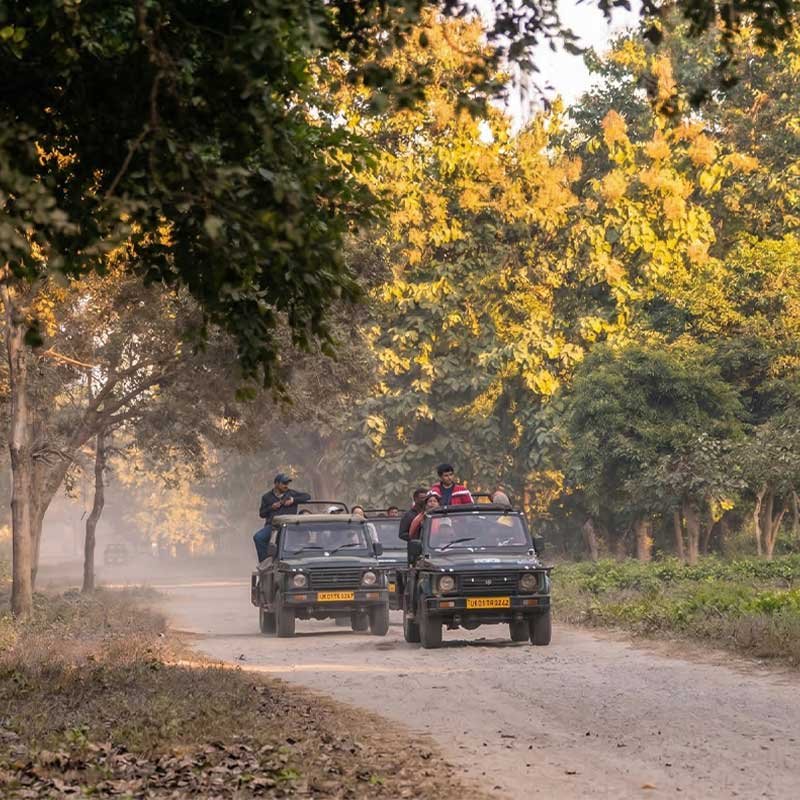 Wildlife Safari Package