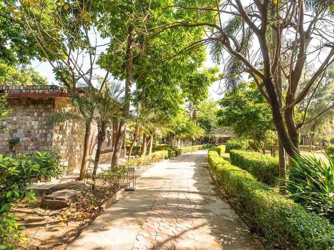 Jim Corbett Lush Greenery