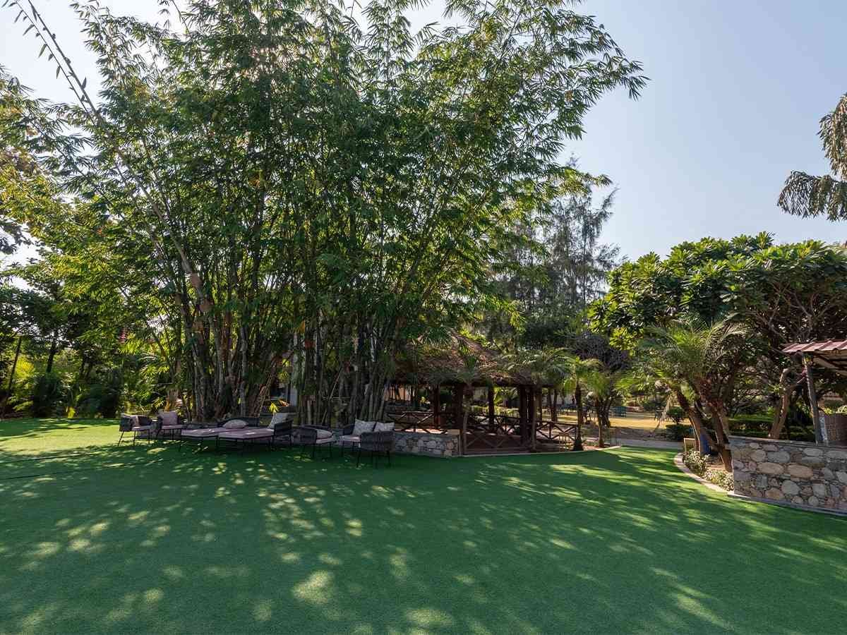 Peaceful Resort Surroundings