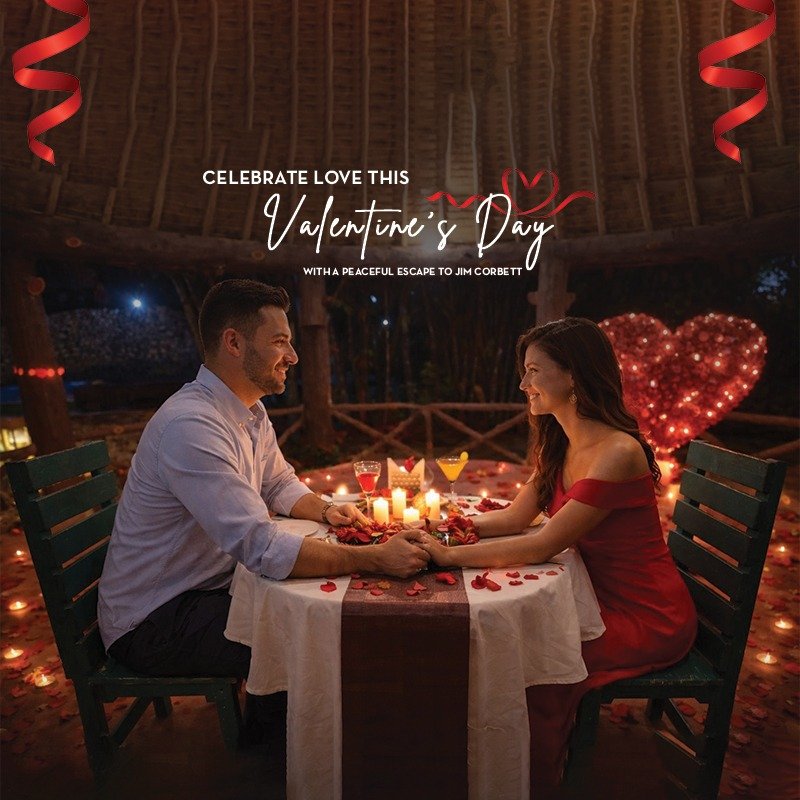 banner Image - Roar Resort