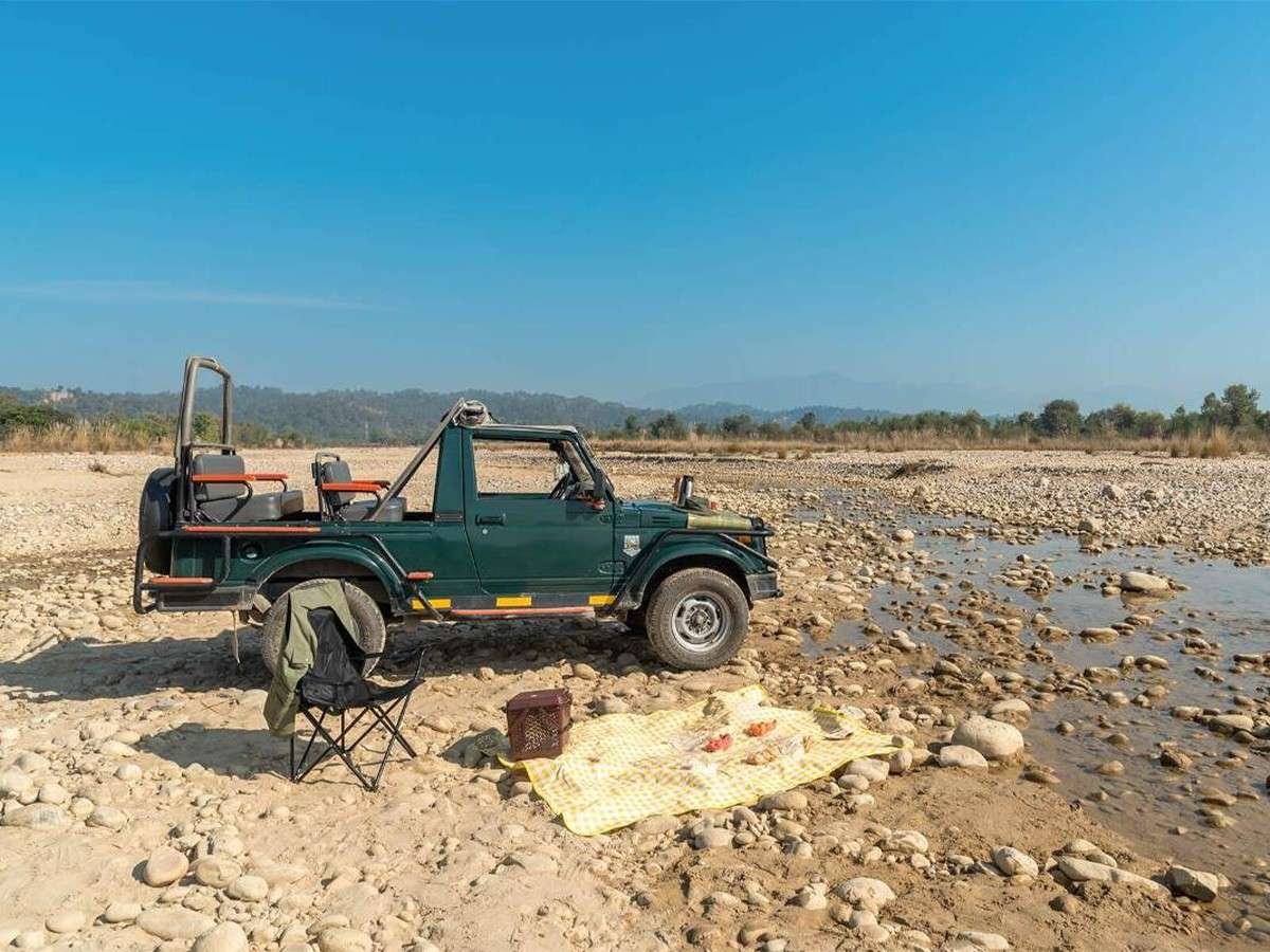 Adventure Activity Zone Forest